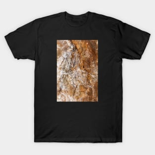 Smashed & Shattered Orange Rock Formation T-Shirt